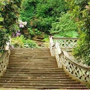 Meet your Posher, Deanna